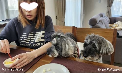 後輩ちゃんとワンズの画像