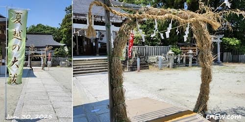 絹笠のとん蝶の画像